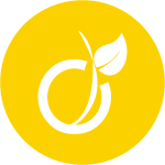 Logo-Viadéo